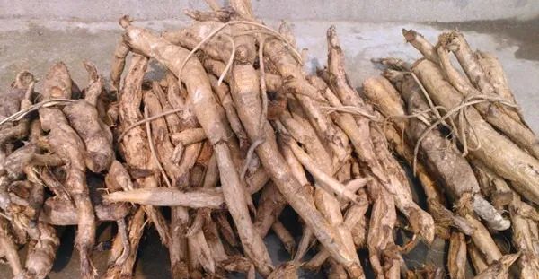 arrowroot-powder-making-machine-20240419163617.jpg