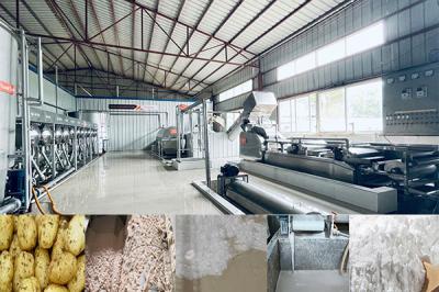 Potato Starch Making Machine