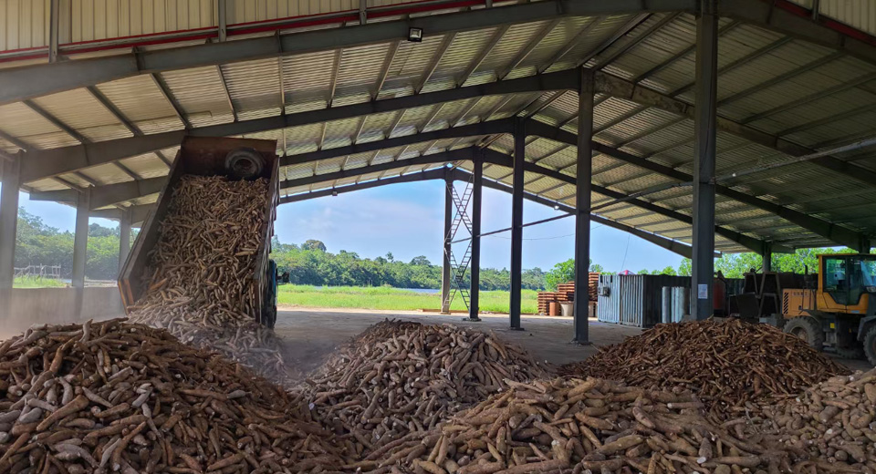 Cassava Processing Machine